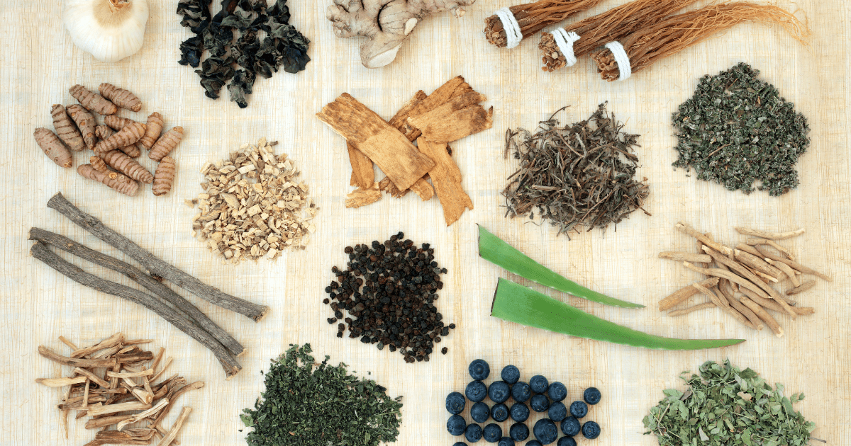 Cómo Equilibrar las Hormonas con Adaptógenos: Guía Completa - Süpp