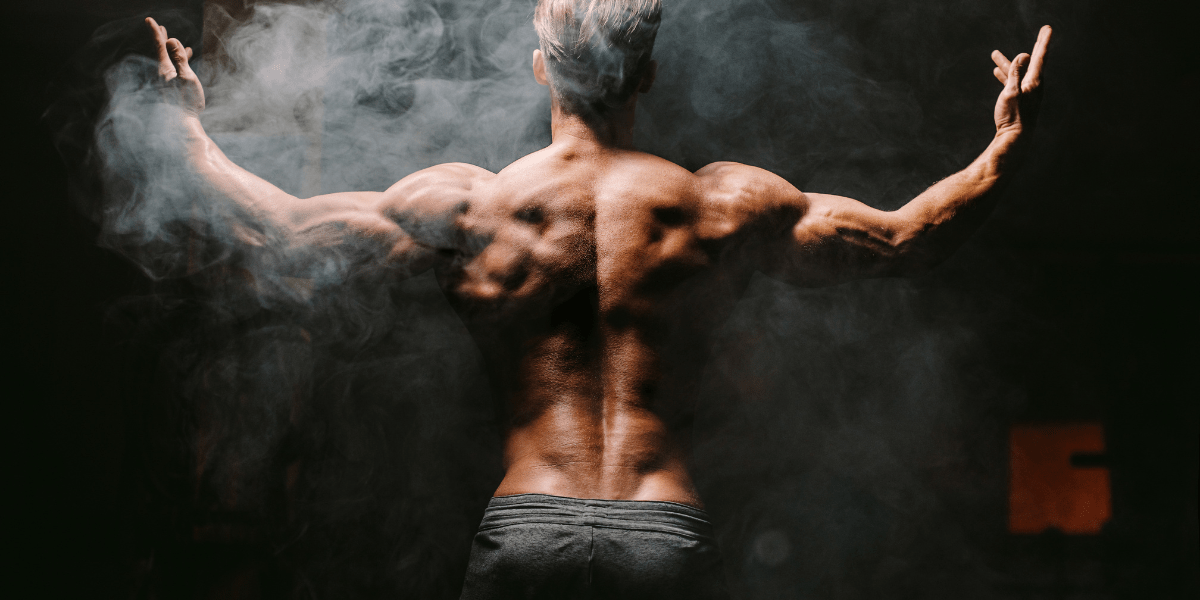 Guía de proteínas y creatina para ganar masa y fuerza – SÜPP - Süpp