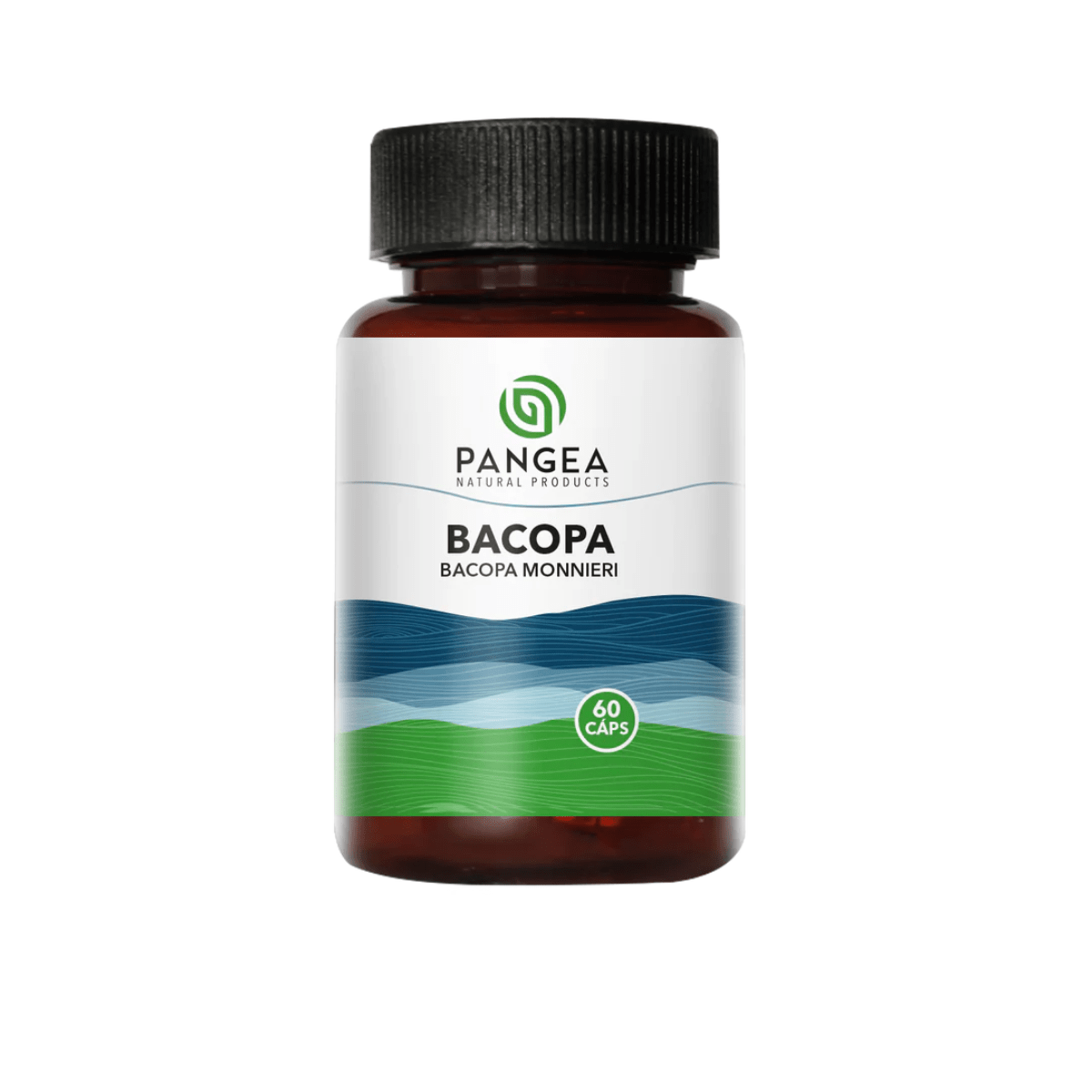 Bacopa – Pangea Natural (60 cápsulas 500mgs) - Süpp