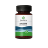 Bacopa – Pangea Natural (60 cápsulas 500mgs) - Süpp